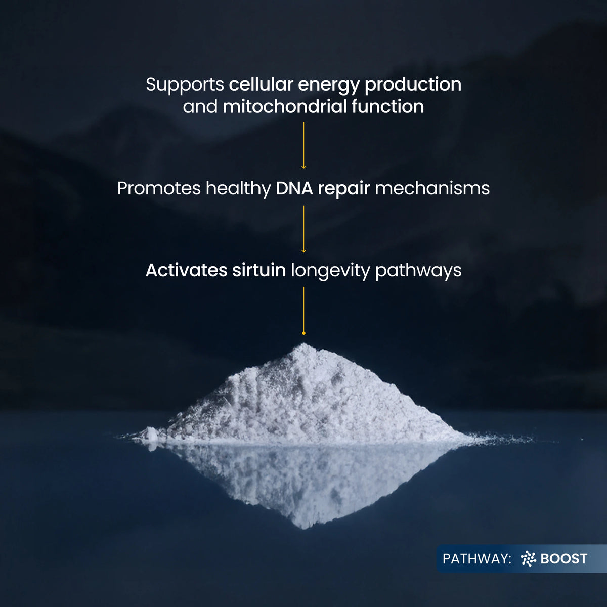 Renue By Science NMN Powder 100g